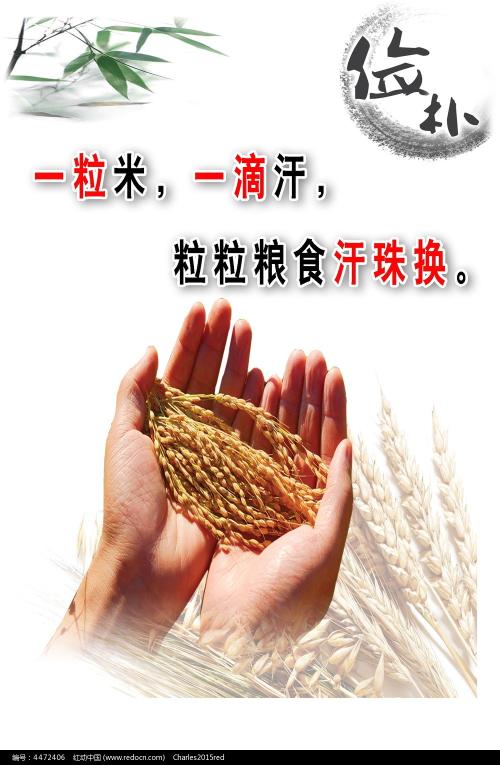 专科毕业证怎么买假的